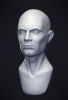 Sculpt!