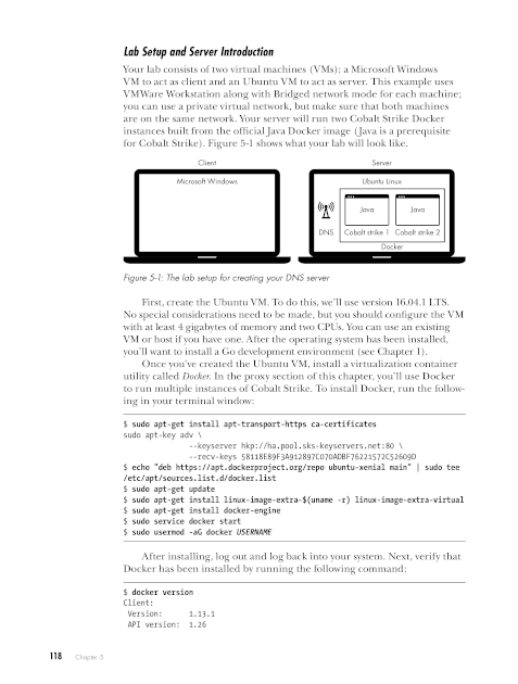Chapter 5, Page 118 BlackHatGo