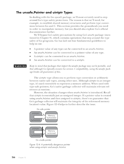 Chapter 12, Page 266 BlackHatGo